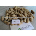 Groundnut Wholesaler